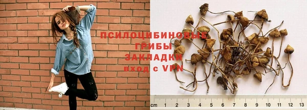 скорость mdpv Алзамай